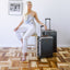 Jekyll and Hide - Medium Check-In Suitcase - 67cm (70 L) - Silver - OVERSIZE PARCEL