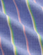 Polo Ralph Lauren - Oxford Shirt - Stripe - Royal Blue/Pink
