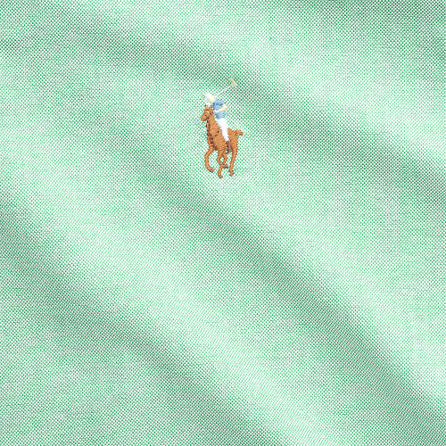 Polo Ralph Lauren - Custom Fit Striped Oxford Shirt - Summer Emerald
