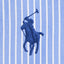 Polo Ralph Lauren - Custom Fit Striped Oxford Shirt - Blue White