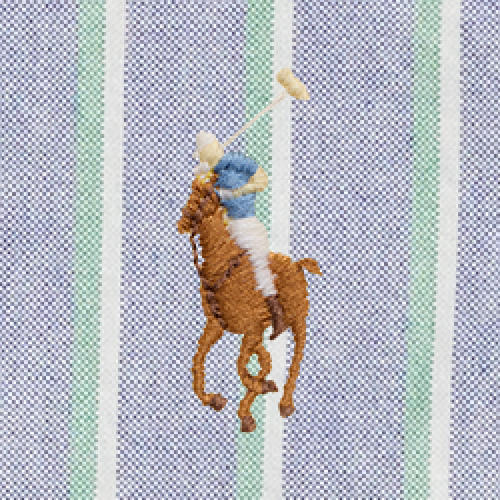 Polo Ralph Lauren - Custom Fit Striped Oxford Shirt - Navy Green Multi