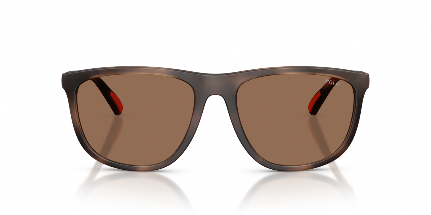 Polo Ralph Lauren - POL0PH4231U Sunglasses - Havana