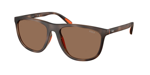 Polo Ralph Lauren - POL0PH4231U Sunglasses - Havana