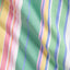 Polo Ralph Lauren - Oxford Shirt - Stripe - Green, Blue Multi