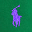 Polo Ralph Lauren Custom Fit Garment-Dyed Oxford Shirt - Athletic Green