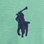 Polo Ralph Lauren - Custom Fit Mesh Polo - Resort Green Heather
