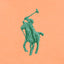 Polo Ralph Lauren - Oxford Shirt - Custom Fit - Pompano Orange