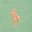Polo Ralph Lauren - Oxford Shirt - Outback Green