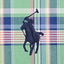 Polo Ralph Lauren - Custom Fit Tattersall Oxford Shirt - Multi Green/Pink