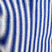 Polo Ralph Lauren - Poplin Shirt - Stripe - Blue & White