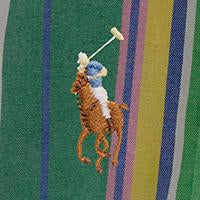 Polo Ralph Lauren - Oxford Shirt - Stripe - Green, Blue Multi