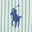Polo Ralph Lauren - Poplin Shirt - Custom Fit - Stripe - Green/White