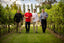 Four men walking through a vineyard, enjoying the outdoors and discussing The Fundamentals of Style.