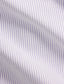 Polo Ralph Lauren - Oxford Shirt - Stripe - Thistle & White