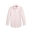 Polo Ralph Lauren - Custom Fit Check Stretch Poplin Shirt - Pink/White