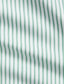 Polo Ralph Lauren - Poplin Shirt - Custom Fit - Stripe - Green/White