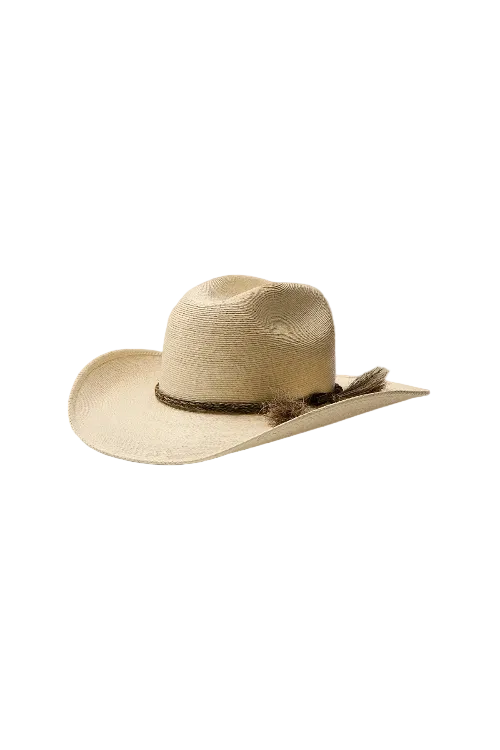 A light beige straw cowboy hat with a dark brown woven band and feather accent, displayed on a neutral beige background.