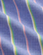 Polo Ralph Lauren - Oxford Shirt - Stripe - Royal Blue/Pink
