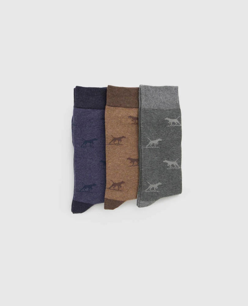Rodd & Gunn - Dogs a Plenty - 3 Pack Socks - Multi - Washed Navy | Brown | Grey, featuring English Pointer design.