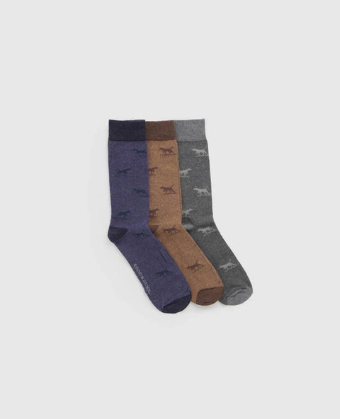 Rodd & Gunn - Dogs a Plenty - 3 Pack Socks - Multi - Washed Navy | Brown | Grey featuring English Pointer design.