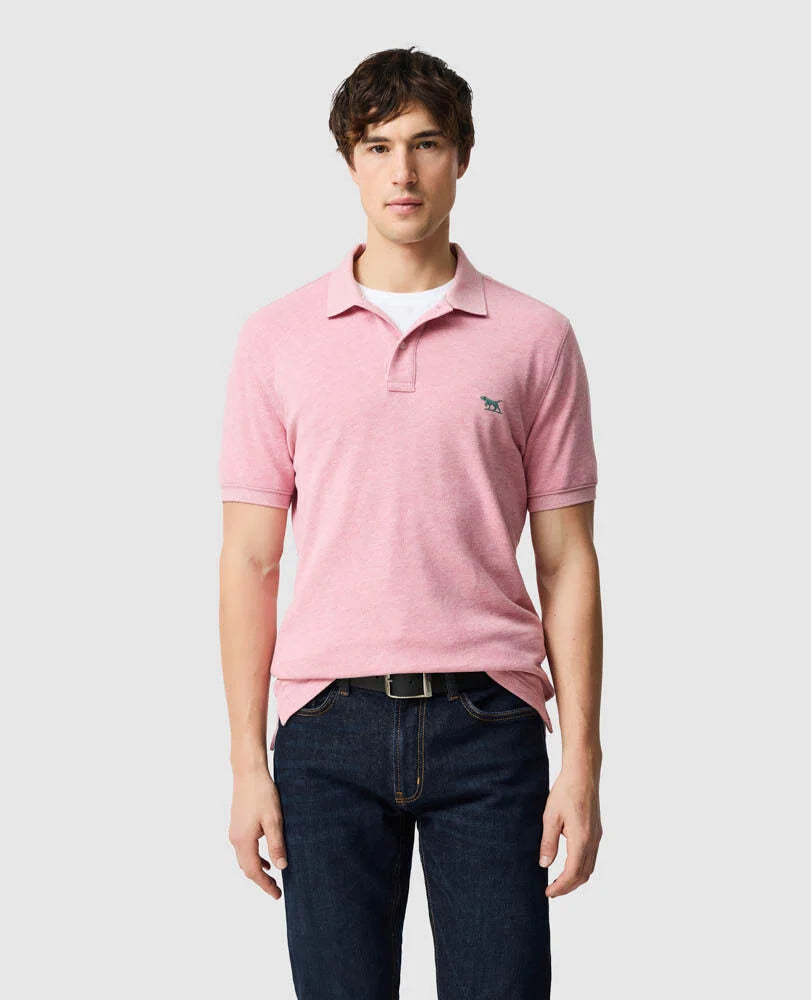 Rodd & Gunn - The Gunn Polo - Coral - MULTIBUY worn by a model, showcasing its modern design and sports fit.