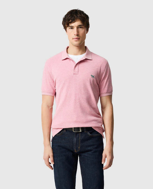 Rodd & Gunn - The Gunn Polo - Coral - MULTIBUY worn by a model, showcasing its modern design and sports fit.