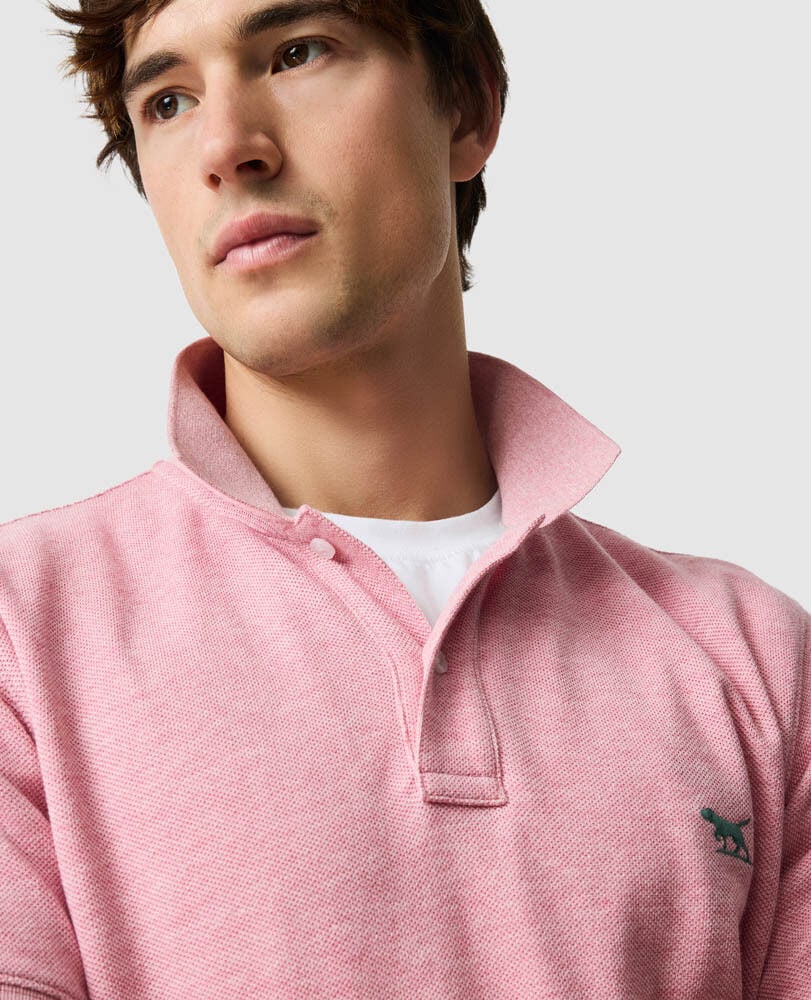Rodd & Gunn - The Gunn Polo - Coral - MULTIBUY model wearing durable pique polo with signature dog logo on chest.