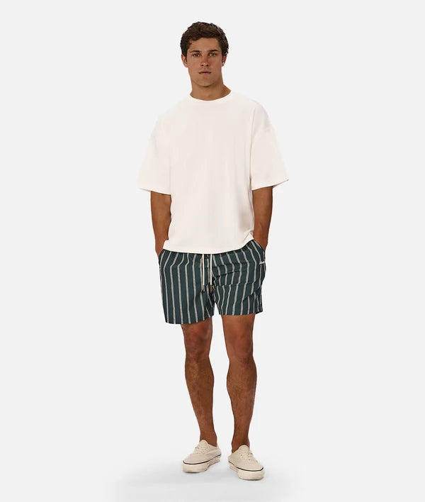 A man modeling a white crewneck t-shirt and dark green and white vertically striped swim trunks, standing against a light gray studio background.