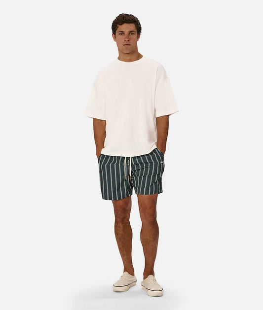 A man modeling a white crewneck t-shirt and dark green and white vertically striped swim trunks, standing against a light gray studio background.