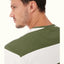 Copley T-Shirt - Stripe - Olive & White