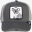 Goorin Bros - Animal Trucker Cap - Hug - Koala - Grey