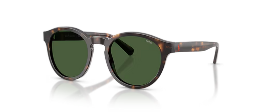 Pucci round sunglasses with a translucent tortoiseshell frame and dark green lenses, shown on a clean white background with a soft reflection.