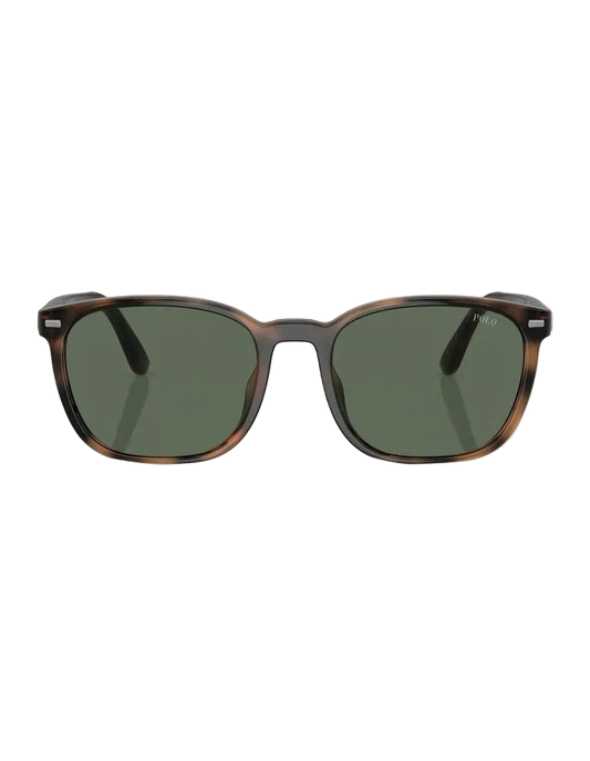 Polo Ralph Lauren - POL0PH4208U - Sunglasses - Havana