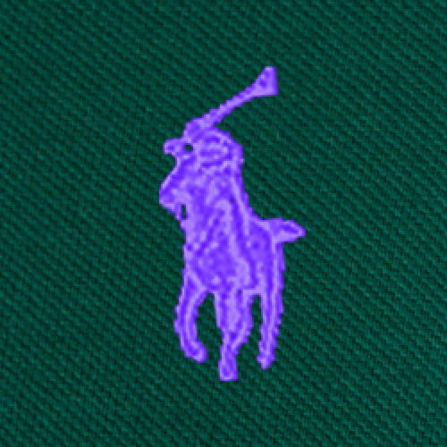 Polo Ralph Lauren -  Mesh Polo Shirt - Forest Green