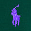 Polo Ralph Lauren -  Mesh Polo Shirt - Forest Green