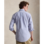 Polo Ralph Lauren - Custom Fit Striped Oxford Shirt - Blue and Pink