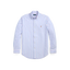 Polo Ralph Lauren - Custom Fit Striped Oxford Shirt - Blue and Pink