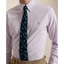 Polo Ralph Lauren - Custom Fit Striped Stretch Poplin Shirt - Purple White 