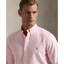 Polo Ralph Lauren - Oxford Shirt - Stripe - Rose Pink