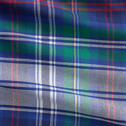 Polo Ralph Lauren - Custom Fit Plaid Oxford Shirt - Green and Blue 