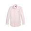 POL710974534013-Polo Ralph Lauren - Custom Fit Check Stretch Poplin Shirt - Pink/White
