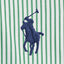 Polo Ralph Lauren - Custom Fit Striped Oxford Shirt - White Erin Green 
