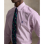 Polo Ralph Lauren - Custom Fit Striped Oxford Shirt - White Purple Stripe