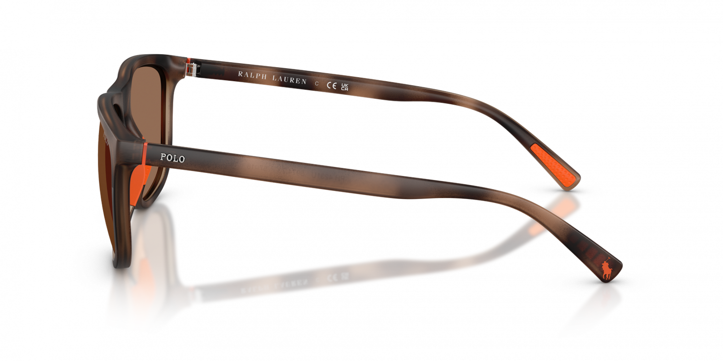Polo Ralph Lauren - POL0PH4231U Sunglasses - Havana