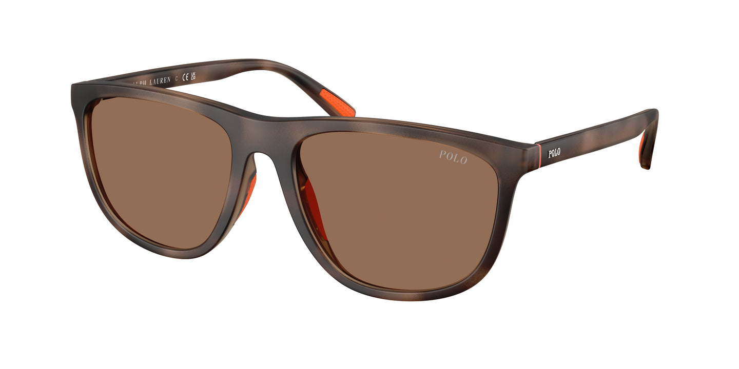 Polo Ralph Lauren - POL0PH4231U Sunglasses - Havana