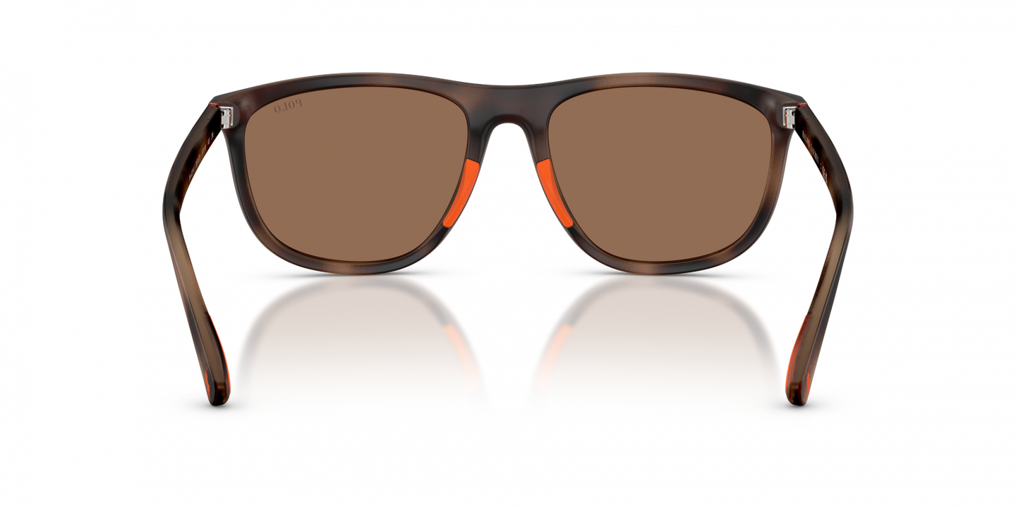 Polo Ralph Lauren - POL0PH4231U Sunglasses - Havana