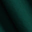 Polo Ralph Lauren - Oxford Shirt - Forest Green