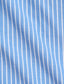 Polo Ralph Lauren - Oxford Shirt - Stripe - Blue & White