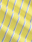 Polo Ralph Lauren - Oxford Shirt - Stripe - Yellow, Blue, White