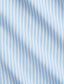 Polo Ralph Lauren - Poplin Stretch Shirt - Stripe - Blue & White